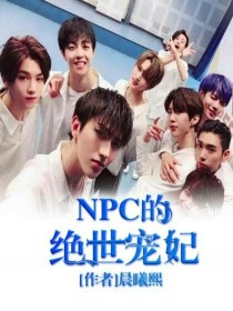 小说《NPC的绝世宠妻》TXT百度云_NPC的绝世宠妻