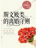 小说《斯文败类的离婚守则》TXT下载_斯文败类的离婚守则