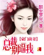 小说《豪门前妻：总裁别逼我》TXT下载_豪门前妻：总裁别逼我