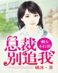 小说《安心如罗明博》TXT下载_剩女不打折：总裁，别追我