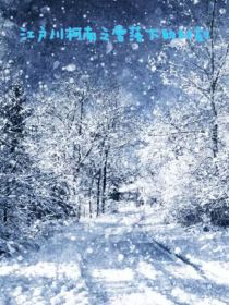 小说《名侦探柯南之雪落下的时刻》TXT百度云_名侦探柯南之雪落下的时刻