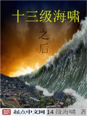 男主女主是徐亮,艾利克斯,聂星的小说是什么_13级海啸之后