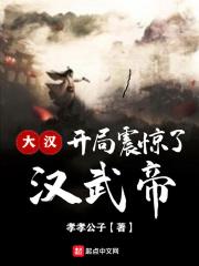 小说《大汉：开局震惊了汉武帝》TXT百度云_大汉：开局震惊了汉武帝