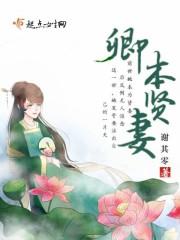 与卿本贤妻小说_卿本贤妻