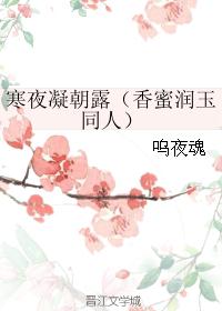 小说《寒夜凝朝露（香蜜润玉同人）》TXT百度云_寒夜凝朝露（香蜜润玉同人）