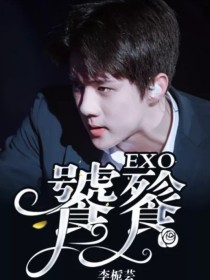 EXO：饕餮_EXO：饕餮