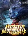 小说《我的武魂能无限进化》TXT下载_我的武魂能无限进化