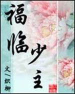 男主女主是刘湘,白洛辰,萧红的小说是什么_福临少主