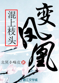 男主女主是陈玉兰,李元宰,霍飞的小说是什么_混上枝头变凤凰