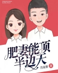 男主女主是柳宇,胡敏,华子的小说是什么_肥妻能顶半边天