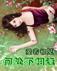 男主女主是秦非,苏易,汪华的小说是什么_爱若初见：何处不相逢