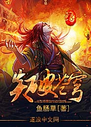 炎破苍穹 小说全集_炎破苍穹