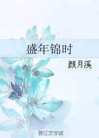 盛年锦时全本txt_盛年锦时