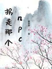 小说《拐走那个npc》TXT下载_拐走那个npc