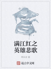 男主女主是岳飞,杨沂,韩世忠的小说是什么_满江红之英雄悲歌