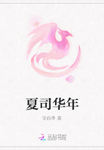 华夏八年小说_夏司华年