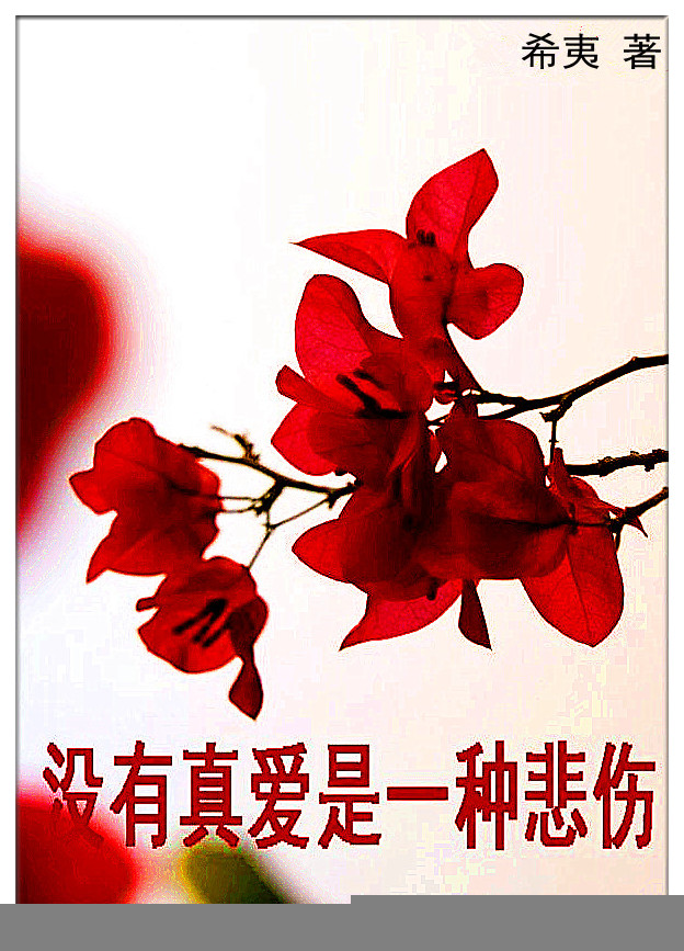 男主女主是陆琪,肖亦群,徐清平的小说是什么_没有真爱是一种悲伤