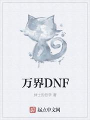 刘浩南郑磊《万界DNF》_万界DNF