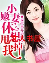 男主女主是梁思辰,苏梓琳,安琪的小说是什么_小嫩妻,休想甩掉我！