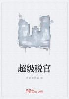 男主女主是宁天翔,刘雅瑶,李小梅的小说是什么_超级税官
