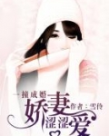 男主女主是厉瑾瑜,陆登庭,傅蔚的小说是什么_一撞成婚：娇妻涩涩爱