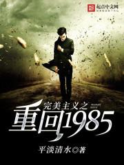 完美主义之重回1985_完美主义之重回1985