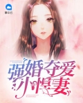 小说《强婚夺爱小悍妻》TXT下载_强婚夺爱小悍妻