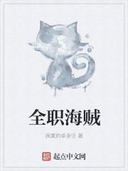 猎人全职海贼_全职海贼