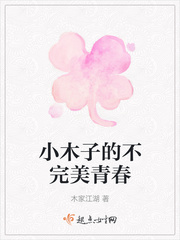男主女主是木子,杨辉,小雅的小说是什么_小木子的不完美青春