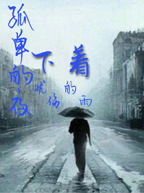 小说《孤单的夜下着忧伤的雨》TXT下载_孤单的夜下着忧伤的雨