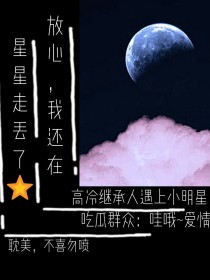 小说《星星丢了》TXT百度云_星星丢了