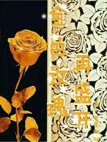 圣吉尔况佑《金色玫瑰再盛开》_金色玫瑰再盛开