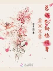 男主女主是文铮,萧墨,李淑梅的小说是什么_甜蜜宠婚，总裁的新婚悍妻