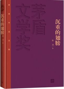 小说《沉重的翅膀》TXT下载_沉重的翅膀