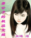男主女主是方磊,苏馨,柳雨萱的小说是什么_贵公子的极品空姐