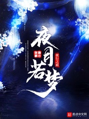 小说《夜月若梦》TXT下载_夜月若梦