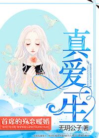男主女主是程峥,林艾,刘皓的小说是什么_真爱一生，首席的殇恋暖婚