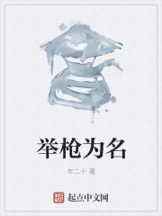 男主女主是孙四,李昊,杨磊的小说是什么_举枪为名