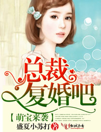 男主女主是傅景承,叶乐,纪琛毅的小说是什么_萌宝来袭，总裁复婚吧