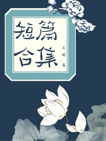 男主女主是江澄,蓝湛,聂怀桑的小说是什么_魔道同人短篇合集