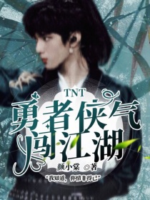 小说《TNT：勇者侠气闯江湖》TXT下载_TNT：勇者侠气闯江湖