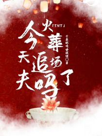 小说《TNT女尊：今天追夫火葬场了吗》TXT百度云_TNT女尊：今天追夫火葬场了吗