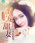 甜蜜宠妻狼性总裁狠狠爱明烛_蜜宠甜妻：狼性总裁狠狠爱