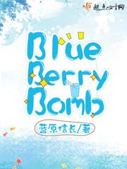 蓝莓穿越蓝莓小说_蓝莓炸弹