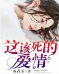 男主女主是江昕宸,陆雅,倪念的小说是什么_这该死的爱情