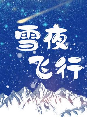 乐晨安张奕泽《雪夜飞行》_雪夜飞行