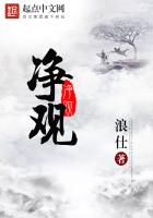 小说《净观》TXT百度云_净观