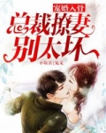 男主女主是李荣荣,李婷婷,苏宸的小说是什么_宠婚入骨：总裁撩妻别太坏
