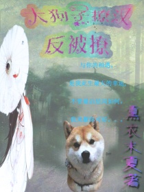 男主女主是杨梦言,吴昊,白华的小说是什么_大狗子撩汉反被撩