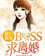 豪门盛宠：BOSS，求离婚